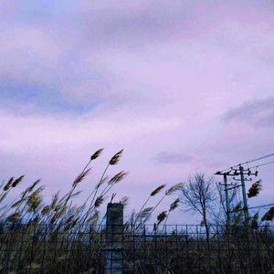 wWw,按摩足疗店,毛片
